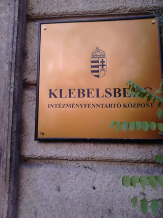Illustration for article titled Hoffman Rózsa menj a bushba: többezres tüntetés Budapesten, közel 100-an Szegeden